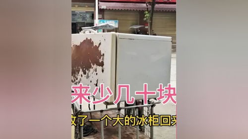 为什么'今年塑胶废品掉价那么多?