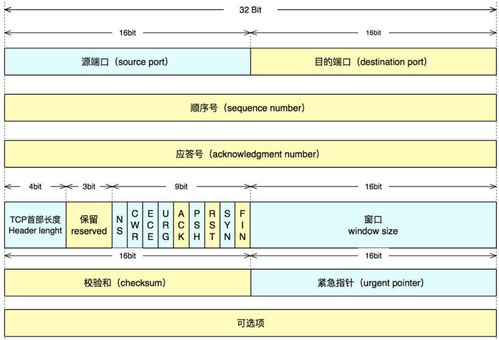 tcp端口号怎么设置(tcp port口怎么设置)