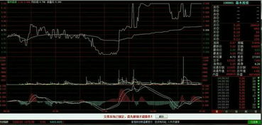 高频交易股票每天反200元是真的吗