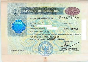 印尼签证攻略分享旅行必须知道的签证流程及注意事项！（印尼签证最新政策2021）