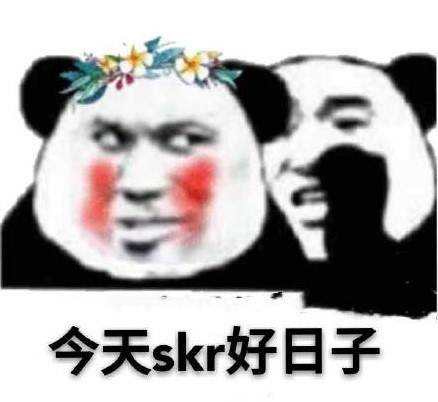 谁知道斯巴达是啥什么意思