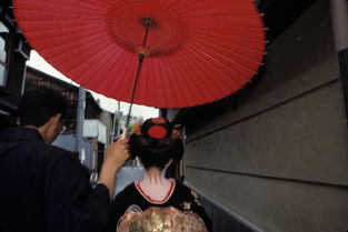 日本红唇艺妓生活真相揭秘 隐蔽却美丽略带悲剧色彩 