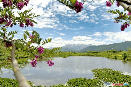 连通最美山水的金丝带 太子山旅游大通道沿线风光掠影