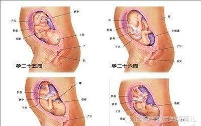 怀孕7个月有哪些注意事项 要提前避免四个问题,早知道早准备