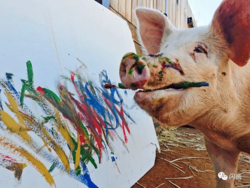 全世界最会画画的小猪,一幅画就卖出17万