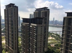 图 保利天悦公寓 全新装修未住 带车位出租 可办公可注册 广州租房 