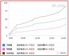 期货玉米主力2000块保证金涨了1%赚了多少钱？