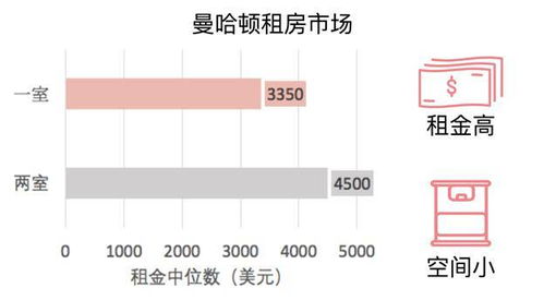 月花 3000 在大纽约能住成什么样 租VS买 案例分析 