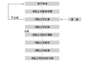 安联保险出口信用保险上海车险有哪些公司