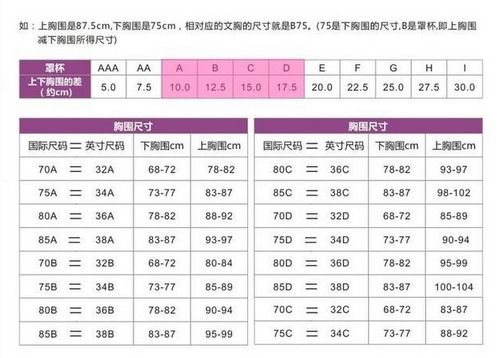 34码是多大的胸围 