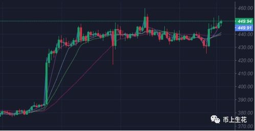 shib币实时价格_btc美元行情最新价格