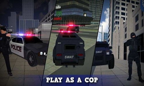 警察和强盗模拟器下载 警察和强盗模拟器中文版下载v1.072 