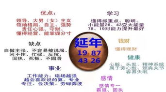 金秀老师说数字磁场能量四吉星特点