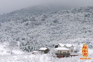 梦见满山都是雪