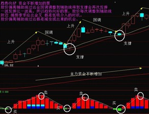 为什么有的股票天天涨停也不停牌,华新水泥连续三个交易日内日收盘价格涨幅偏