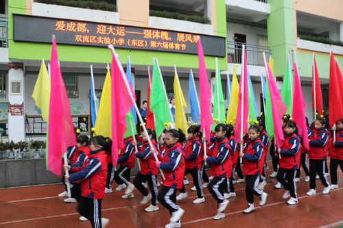 成都双流职高有哪些大学和学院