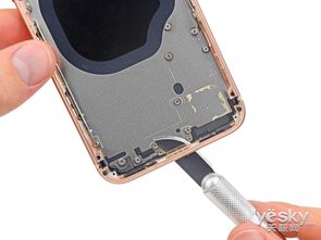 iPhone8拆机 1640元人民币你买到了啥 