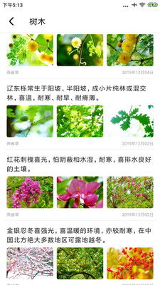 植物百科知识大全内容(植物百科知识大全内容简介)