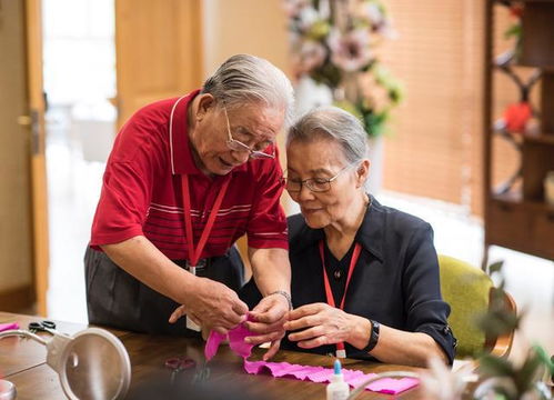 为啥拿老人开刀 养老金发放压力大,专家建议取消所有人的退休金