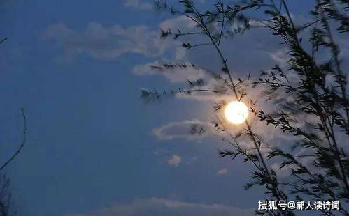 月夜解释词语-什么叫月夜填恰当词语？