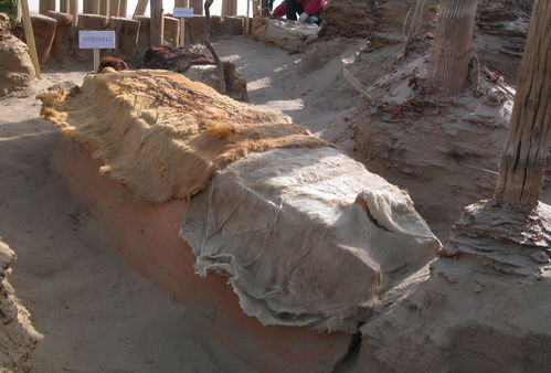 三千年前罗布泊没有密闭技术,为何棺木出土,里面一颗沙子都没有