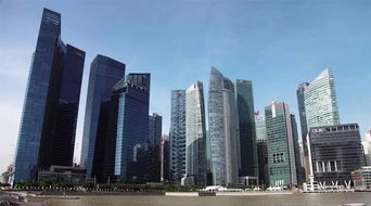 顾清扬 金融中心的新加坡经验