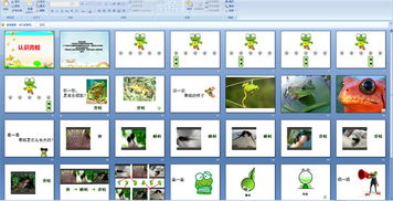 幼儿园大班科学课件 认识青蛙 