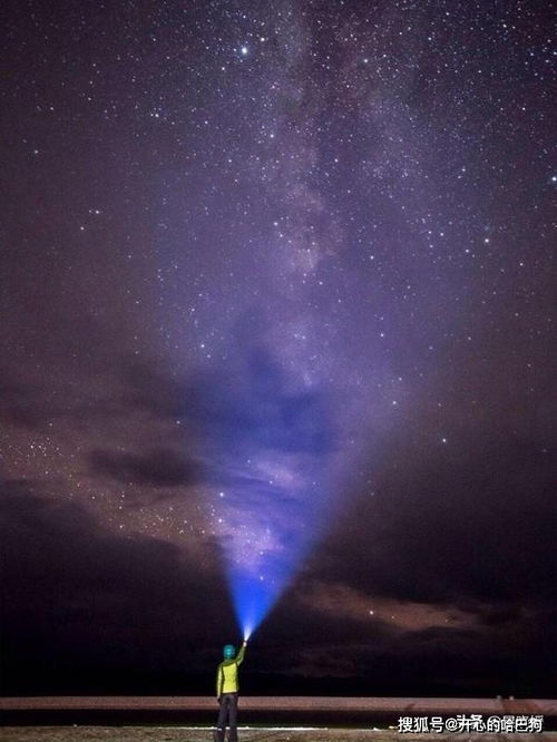 这些星座像行走于世间的白玫瑰,外表清新却有着浓郁的味道