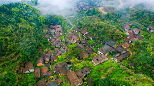 乐安稠溪村 一座隐藏在大山深处的 梦里老家