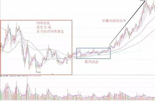 股市信息，有哪两条线可以看出主力和散户