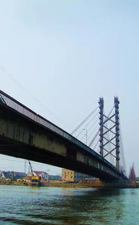 再会,上海首座斜拉桥 这些威武的桥梁历史,你记得多少