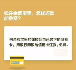 东胜 开始收费 开始收费 开始收费 重要的事情说三遍