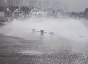 安比 来了,大风 巨浪 暴雨袭城 接下来,青岛继续30