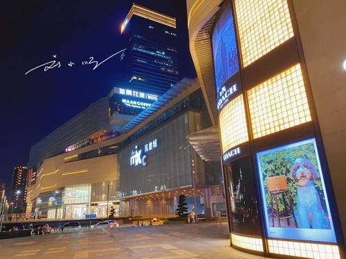 重庆唯一有爱马仕的高档商场,却选址在九龙坡区,游客 出乎意料