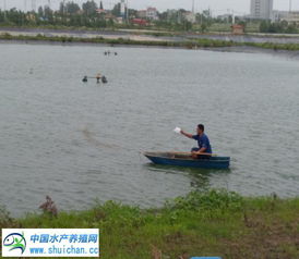 校企合作培养未来水产人 华中农业大学水产学院到天门海大团风基地实习