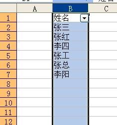 有一个包含很多名字的excel的表,怎么设置一个下拉列表框,我从中选出一个姓,就把包含此姓的名字都显示出来 