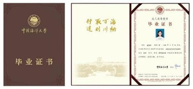 中国海洋大学毕业论文封面