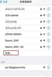 iphone怎么连接隐藏wifi iPhone加入隐藏WiFi图文教程 