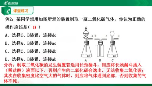 考点复习系列 第3章空气和生命 3.4 