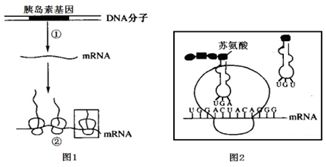 如图表示某一动物种群迁入一个适宜环境后的增长曲线图.下列有关说法错误的是 A.这个种群数量的增长曲线呈 S 型.该环境条件允许的最大种群数量大约是500只B.如果此种群是鱼类 