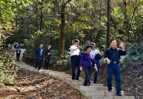 岁岁重阳 情暖心房 写在我国传统的重阳佳节