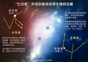 文艺系名言好句-文艺之星颁奖词诗意？