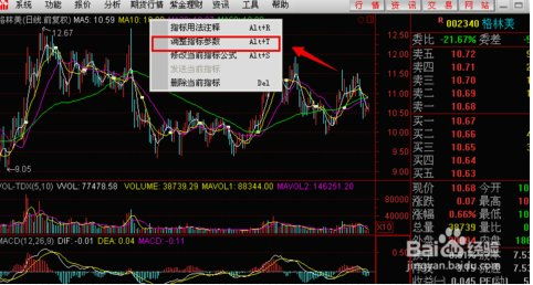 通达信股票软件,怎么设置60/120日均线?/