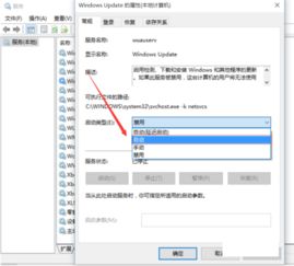 win10家庭版自动更新怎么关