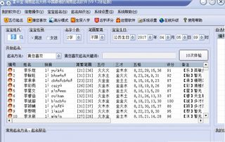 掌中宝周易起名大师破解版下载 免安装版绿色下载 52pk软件下载 