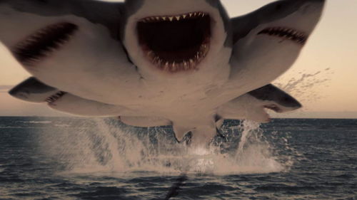 美国电影鲨鱼季影评