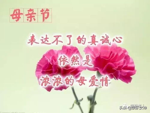 今日母亲节,愿天下母亲身体健健康康,一生平平安安