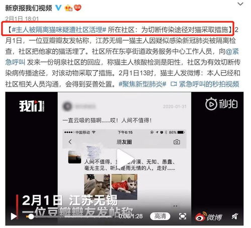 被强制集中隔离没钱支付怎么办？