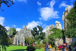 离我最近的旅游景点一日游 (离我最近的旅游景点都有哪些)