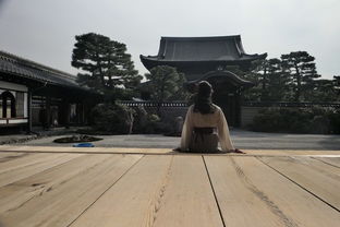 双子夫妇初次日本游 day3京都